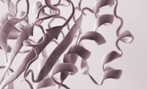 Protein_Expression_TN