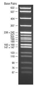 DNA MSPL Digest