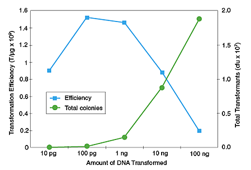 C2523_fig1