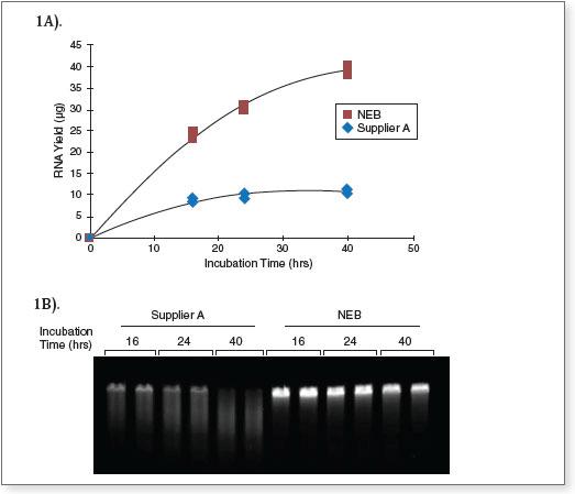 Figure 4: Improved RNA yield and integrity from extended duration transcription reactions 