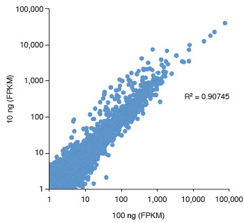 Low input NEBNext Ultra Directional RNA libraries retain complexity