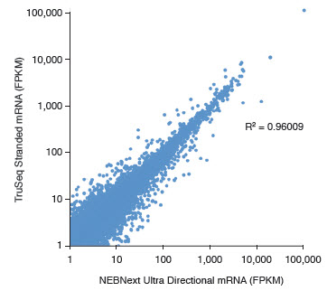 Sequencing data shows strong concordance between NEBNext Ultra Directional RNA and Illumina TruSeq Stranded RNA libraries