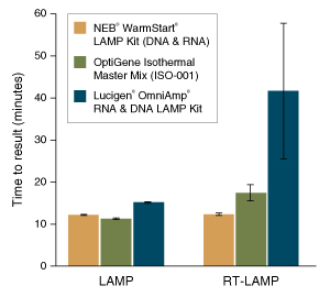 Fast LAMP/RT-LAMP results