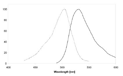 Excitation (dotted line) and emission spectra of label 505 coupled to CLIP-tag in buffer at pH 7.5