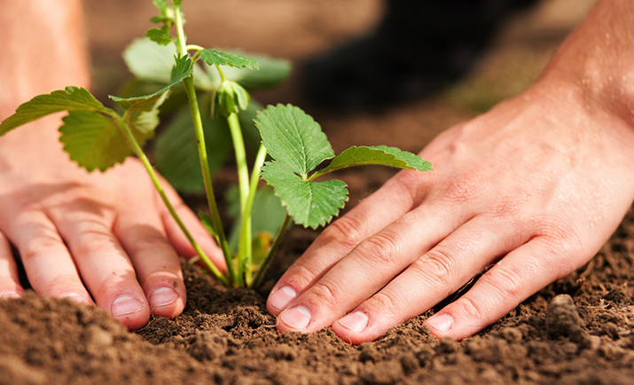 environmental_about_thumb