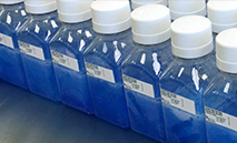 MolecularDiagnostics_TN