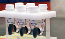 Protein_Purification_TN