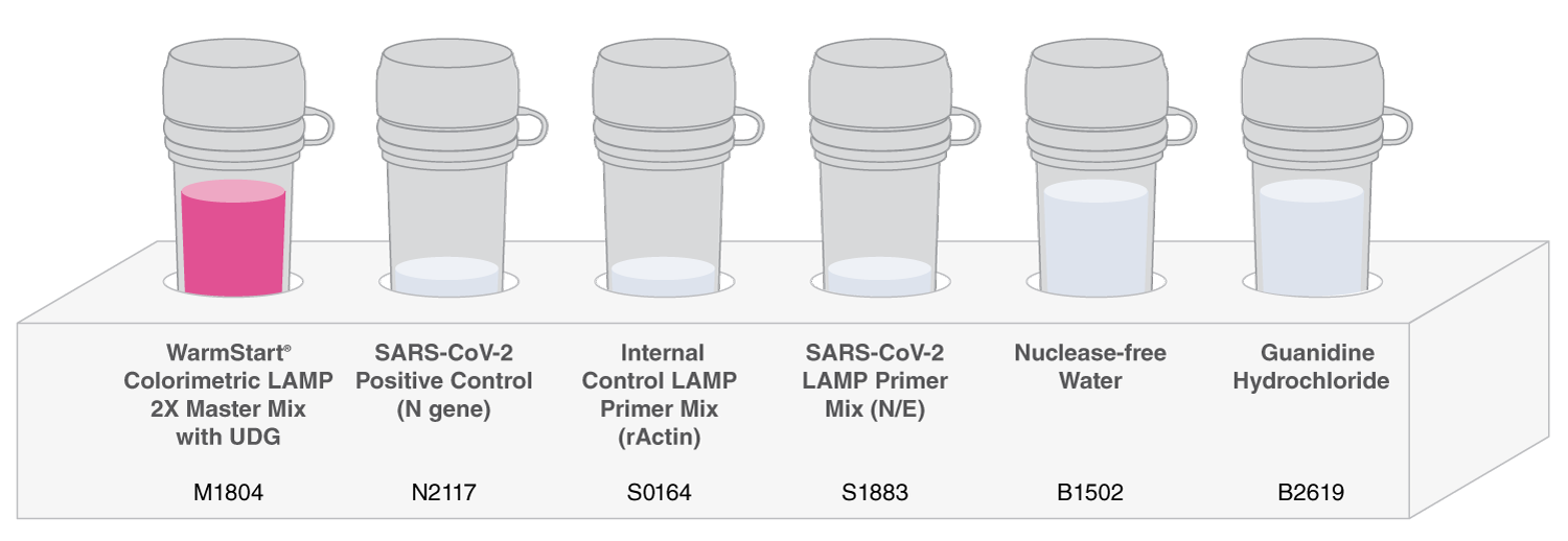 Get results in just 30 minutes with NEB’s SARS-CoV-2 Rapid Colorimetric LAMP Assay Kit.