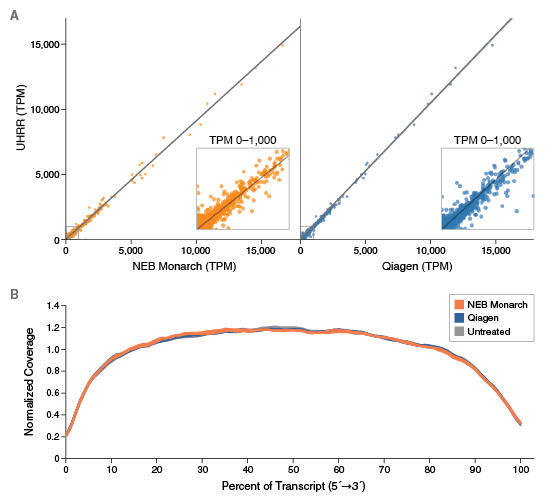 RNA Sequence