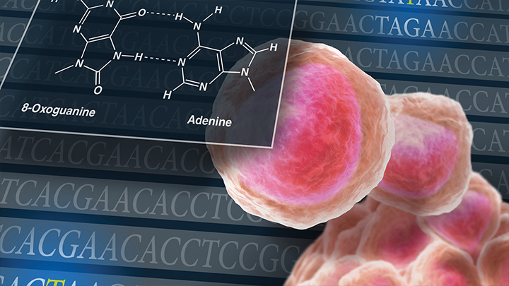 Behind the paper: DNA damage is a pervasive cause of sequencing errors, directly confounding variant identification