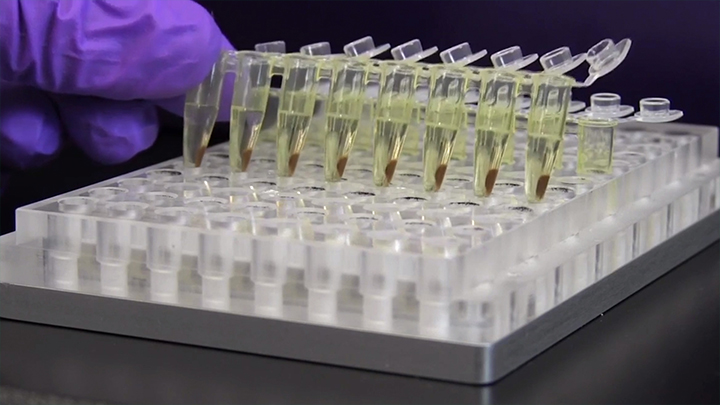Size Selection and Cleanup with NEBNext Ultra 