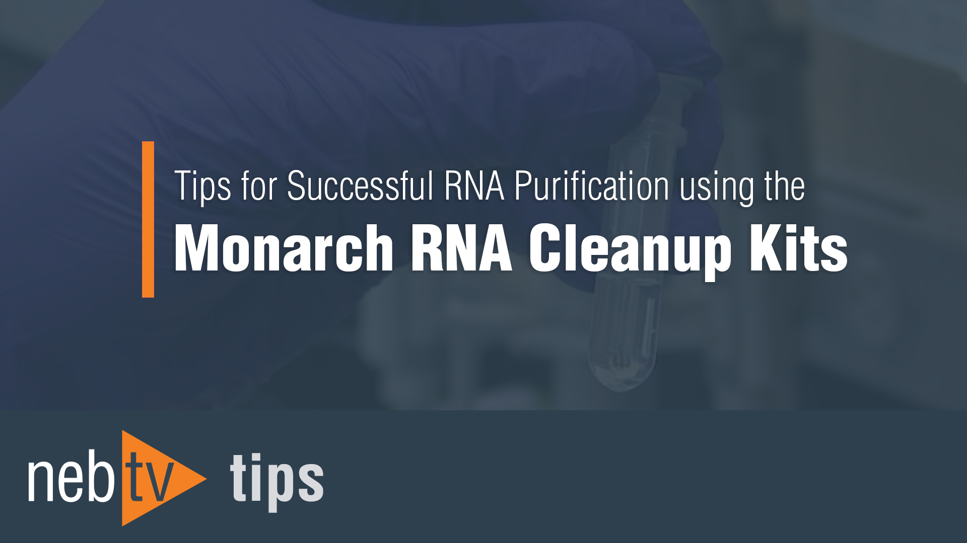 NEBTV_tipsForSuccessfulRNAusingTheMonarchRNAcleanupKit_1920