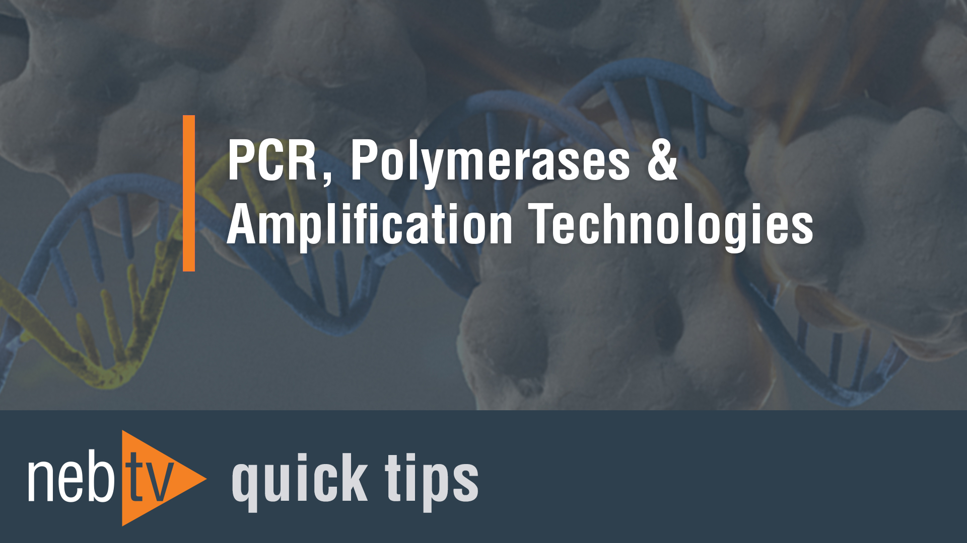NEBTVPCRPolymerasesandAmplificationTechnologies1920