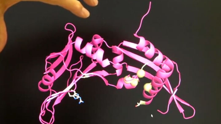 Restriction Enzyme Interaction with DNA