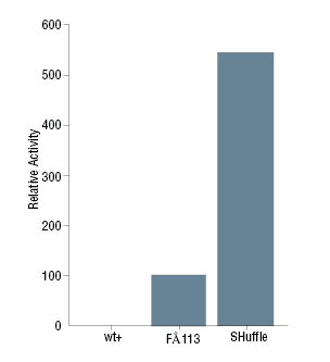 Figure 1, vtPA activity assayed from crude lysates: